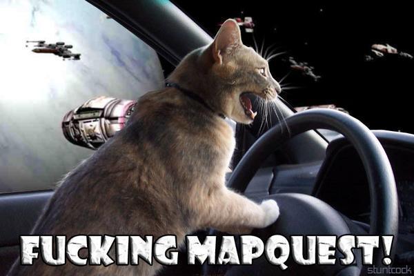 kitty driving